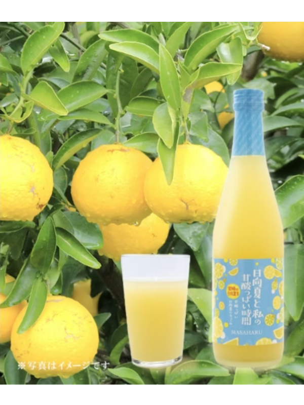 正春酒造 日向夏與我的酸甜時光500ML