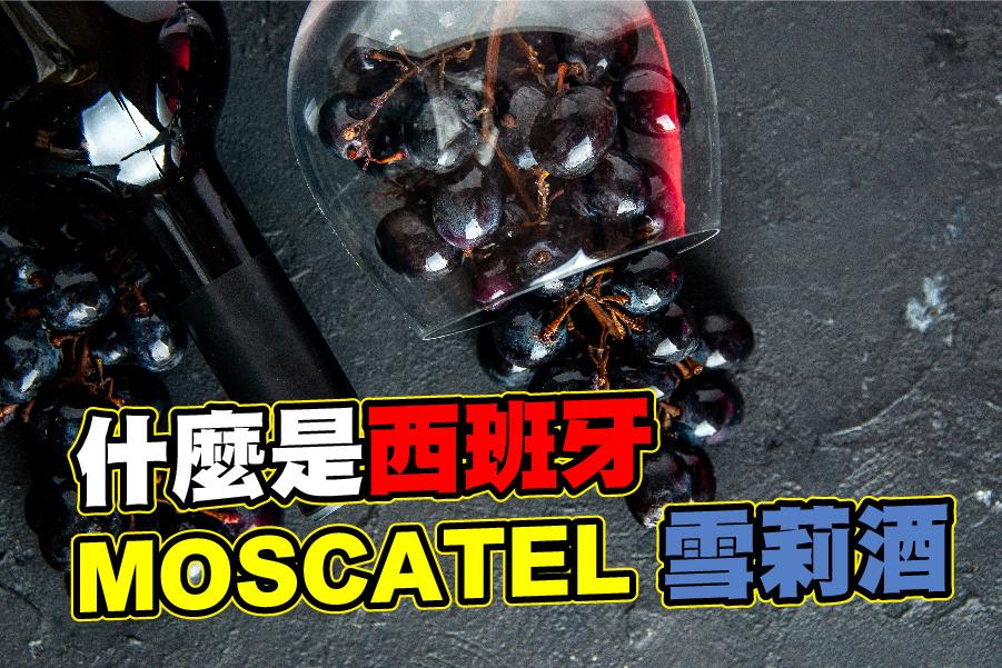 什麼是西班牙MOSCATEL雪莉酒