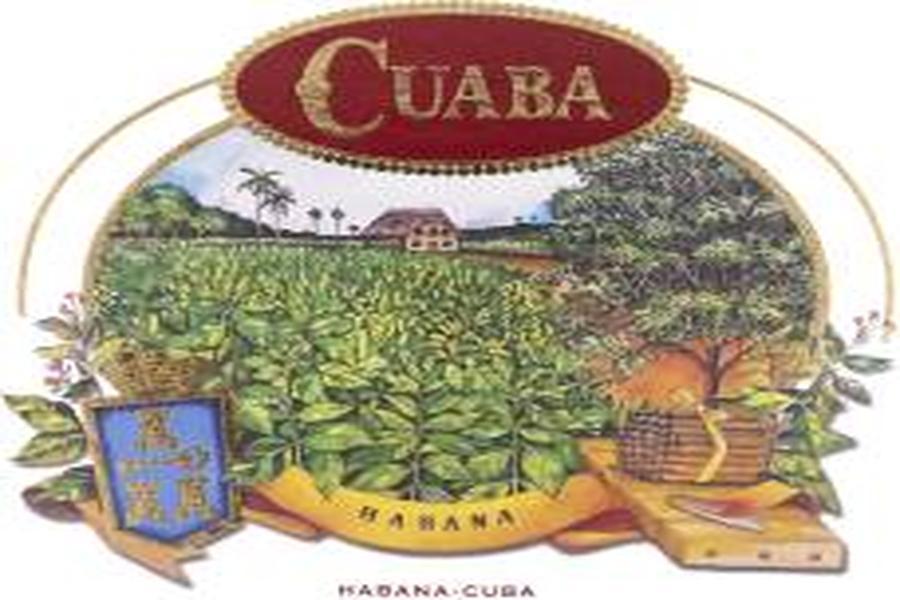 Cuaba：想抽雙尖魚雷就是這個牌子了